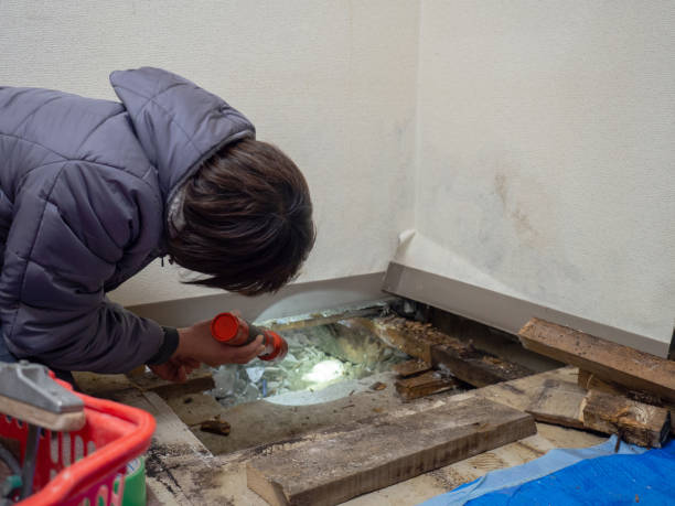 Mold Remediation for Rental Properties in Shawnee, OK