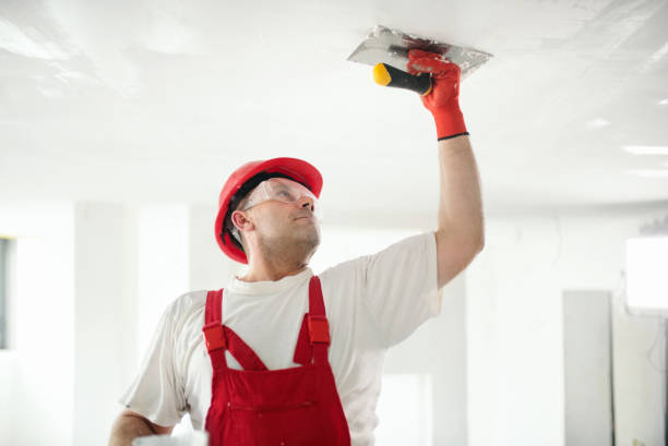 Best Emergency Mold Remediation  in Shawnee, OK